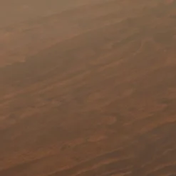 Palermo Desk Daisy Webbing Brown - Opalhouse™ Designed With Jungalow™ -Jungalow GUEST 61380dbd 5e4d 4038 a2d7 571e94bfa394