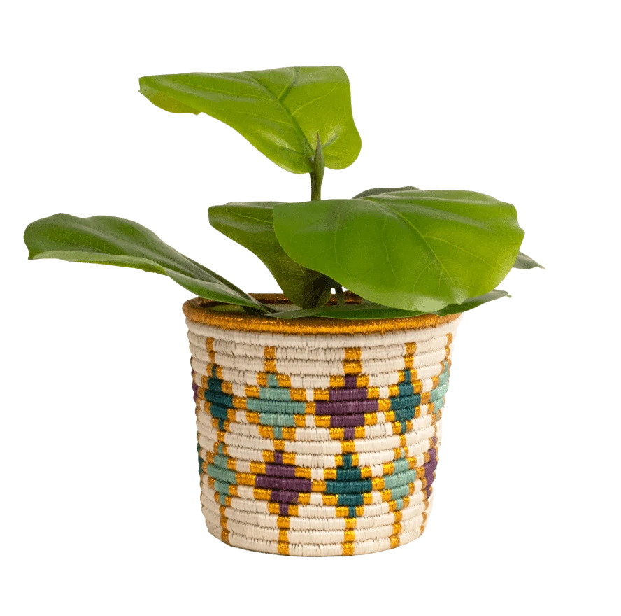 Gold Planter 2 Gold Planter - Image 2