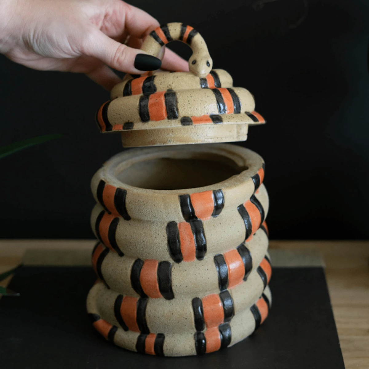 Coiled Snake Canister 2 Coiled Snake Canister - Image 2