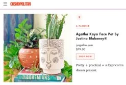 Jungalow Agatha Kaya Face Vase By Justina Blakeney™ -Jungalow agatha kaya face pot