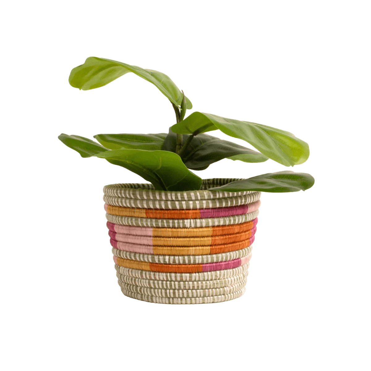 Sunrise Brights Planter 1 Sunrise Brights Planter