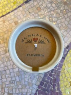 Jungalow Kaya Ceramic Candle - Aqua Stripe/Plumeria -Jungalow bluestripecandlelabel