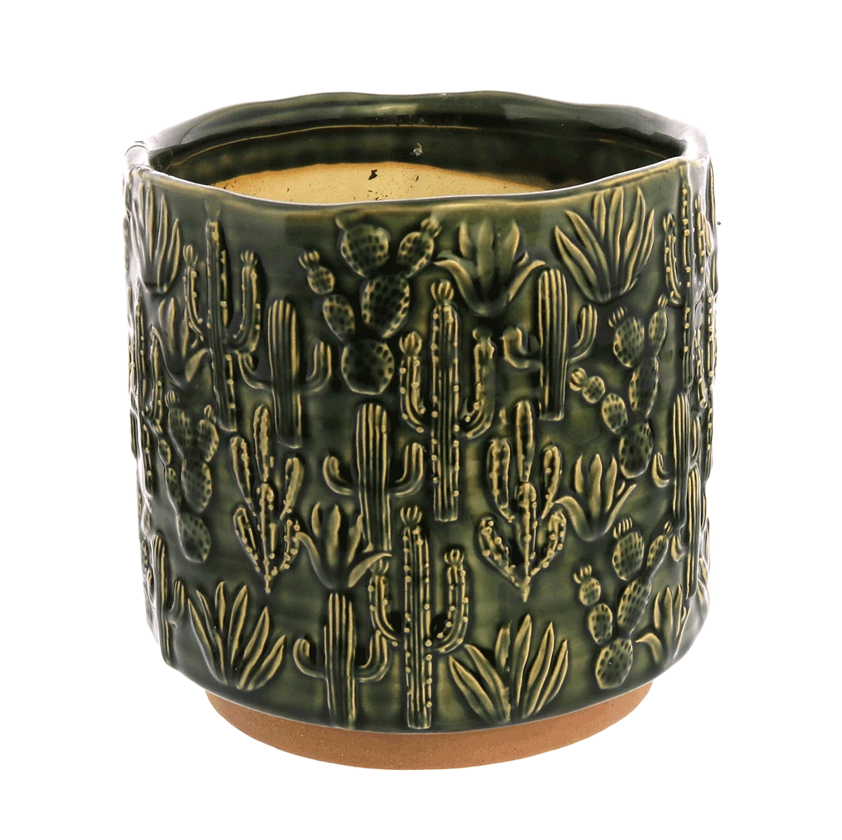 Cactus Planter 2 Cactus Planter - Image 2