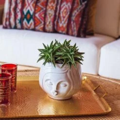 Pucker Up Planter -Jungalow f33c33d31194d78bc32316f3be35c11f