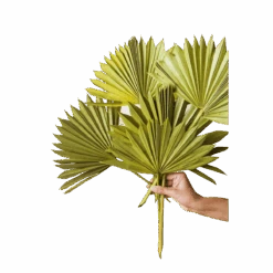 Rowen Palm Bouquet -Jungalow green sun palms best dried flowers and dried bouquets 30596691361844 PhotoRoom