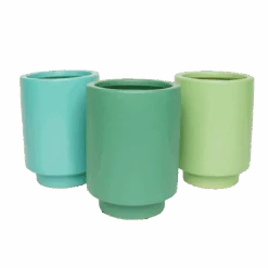 Jungalow Carribean Green Kaya Vase By Justina Blakeney™ -Jungalow kayapot 1a7081e3 f55c 4cfc a6ed 5f4d6097833c