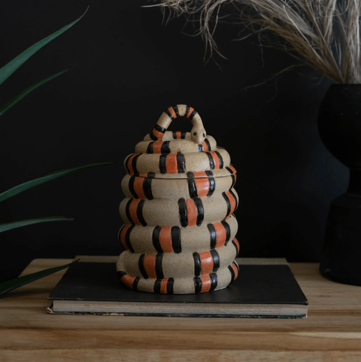 Coiled Snake Canister 1 Coiled Snake Canister