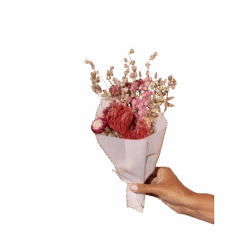 Amalia Bouquet 9 Amalia Bouquet -Jungalow the lark bouquet petite best dried flowers and dried bouquets 30747843821620 PhotoRoom