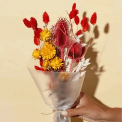 Gala Bouquet -Jungalow tropicana bouquet petite best dried flowers and dried bouquets 30748352774196 PhotoRoom